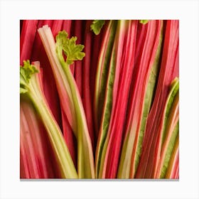 Rhubarb Stalks Canvas Print