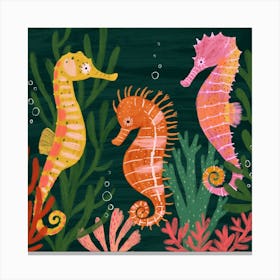 Three Seahorses Square Canvas Print