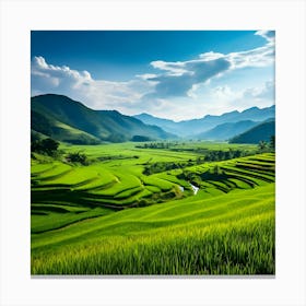 Rice Fields In Vietnam Canvas Print