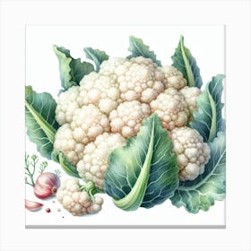 Cauliflower 2 Canvas Print