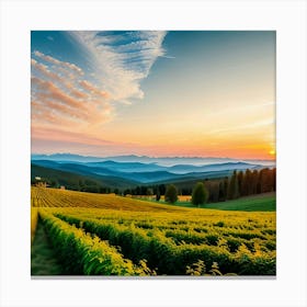 Sunset In The Vineyard Canvas Print