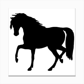 Horse Silhouette Canvas Print