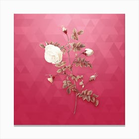 Vintage Silver Flower Hispid Rose Botanical in Gold on Viva Magenta n.0900 Canvas Print