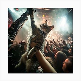 Cat At A Concert 5 Canvas Print