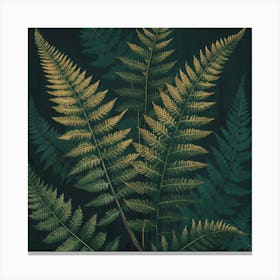 Fern Leaves 4 Canvas Print