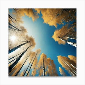 Birch Trees 43 Canvas Print