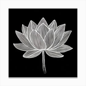 Lotus Flower Canvas Print