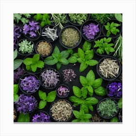 Top View Of Herbs On Black Background 4 Canvas Print