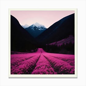 Pink Flowers In The Mountains Canvas Print