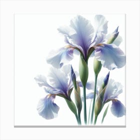 Flower of Iris 1 Canvas Print