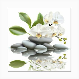 White Orchids On Rocks Canvas Print