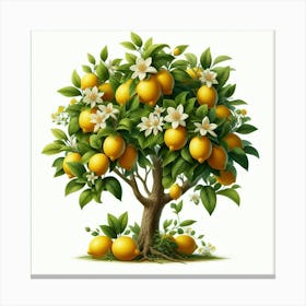 Lemon Tree 1 Canvas Print
