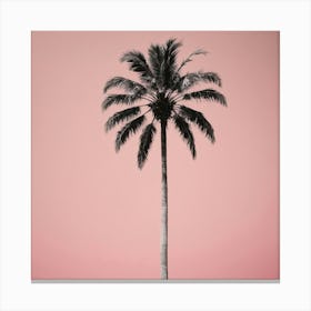 A Lone Palm Pink Art Print 1 Canvas Print