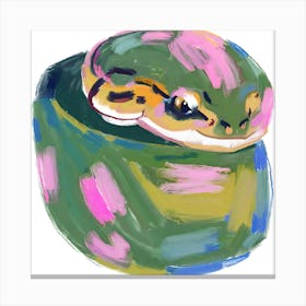 Ball Python Snake 05 Canvas Print