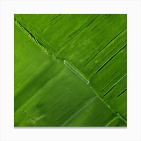 Aerial View Of A Field Canvas Print