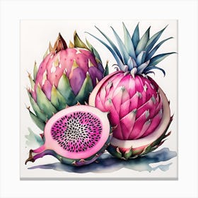 Dragonfruit Canvas Print