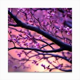 Purple Blossoms On A Tree Canvas Print
