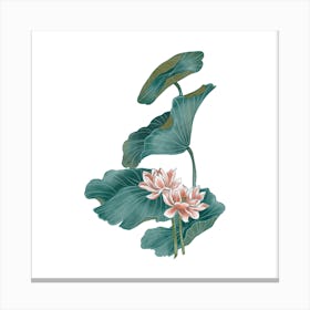 Lotus Flower 54 Canvas Print