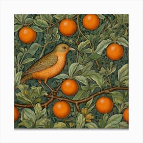 Bird Perched On An Orange Tree 1 Canvas Print