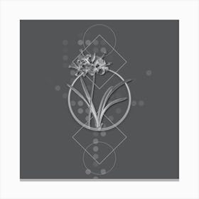 Vintage Guernsey Lily Botanical with Line Motif and Dot Pattern in Ghost Gray n.0294 Canvas Print