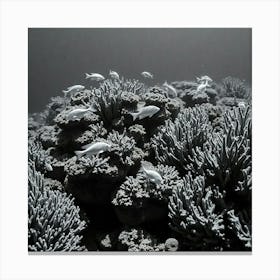 Coral Reef104 Canvas Print