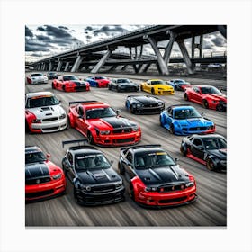 Mustangs Canvas Print