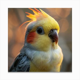 Cockatiel 6 Canvas Print