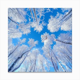 Winter Trees In The Snow Photo Canvas Print