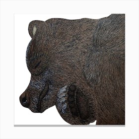 Sleepy Bear. 1 Canvas Print