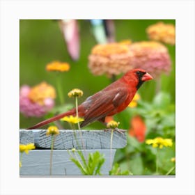  Cardinal Bird in my Garden Canvas Print