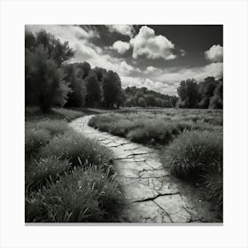 Path In The Grass Canvas Print