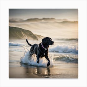 happy black labrador Canvas Print