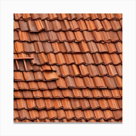 Tile Roof — Stock Photo Canvas Print