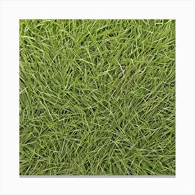 Grass Background Photo 3 Canvas Print
