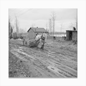 The Roads Are So Bad To The Transient Camp At Hagerman Lake, Michigan, That It Is Necessary To Haul Supplies By Mud Canvas Print