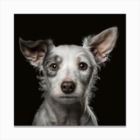 Portrait Of A Dog 9 Canvas Print