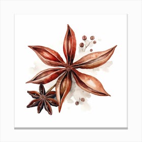 Watercolor Illustration Of Anise Canvas Print