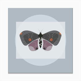 Butterfly Canvas Print