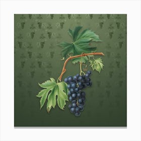 Vintage Brachetto Grape Botanical on Lunar Green Pattern n.0149 Canvas Print