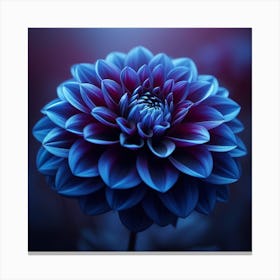 Indigo Dahlia 3 Canvas Print