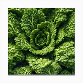 Frame Created From Savoy Cabbage Sprouts On Edges And Nothing In Middle Trending On Artstation Sha (4) Canvas Print