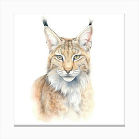 Desert Lynx Cat Portrait Canvas Print