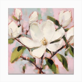 Magnolia 2 Canvas Print