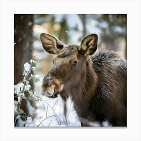 Firefly Whimsical Baby Moose In A Festive Winter Forest 93695 (2) Canvas Print