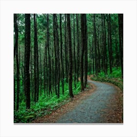 Path In The Forest Canvas Print