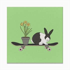 Bunny On Skateboard, daffodils, Easter, rabbit, illustration, wall art Canvas Print