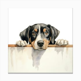 Bernese Mountain Dog 6 Canvas Print