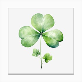 Four Leaf Clover 6 Canvas Print