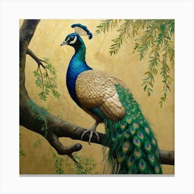 Peacock On A Branch Canvas Print