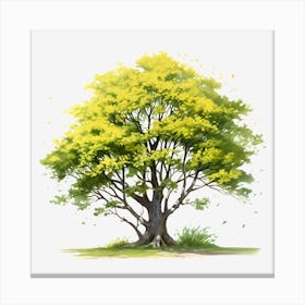 Tree Png Canvas Print